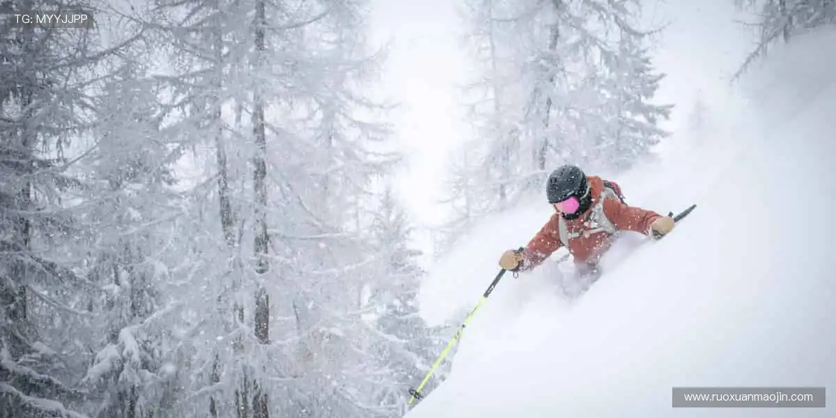 📺高清直播,一键解锁赛场心跳!💥👥