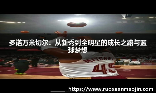 多诺万米切尔：从新秀到全明星的成长之路与篮球梦想