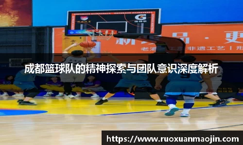 中欧体育官网